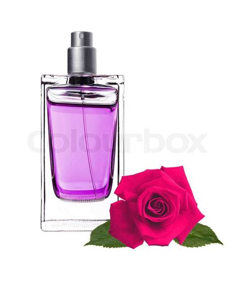 parfum rosa flasche|rose parfum online.